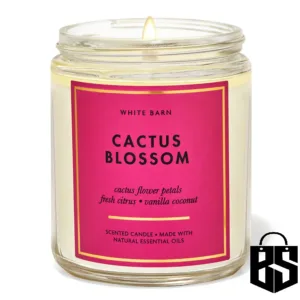 Cactus blossom single wick candle
